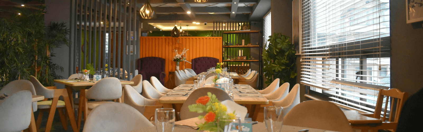 Dal Kaveri Special Background